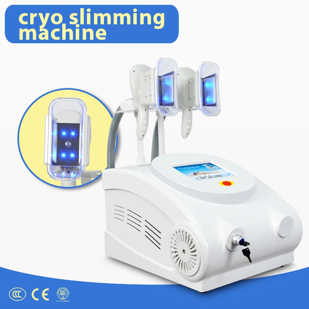 Cool Cryo Criolipolysis Cryolipolisis Criolipolisis Cryolipolysis equipo belleza adelgazamiento de la máquina para Body Shaping