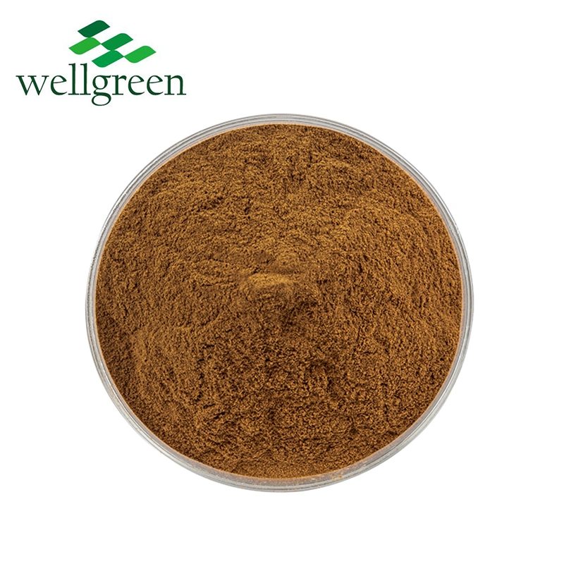 100% Organic Goji Berry Extract Food Grade 30%-50% Wolfberry Extract