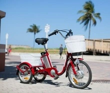 Cheap Cargo Little Electric Tricycle Hot Sale, China Made 3 Wheel Electric Bike