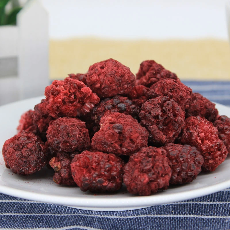 Ttn Wholesale/Supplier Market Dried Blackberry