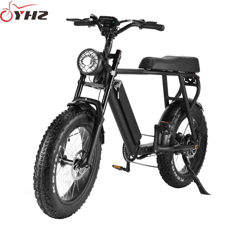 750W Adult Electric Bike USA Warehouse Spot DDP Shipment with 20-Inch Tire