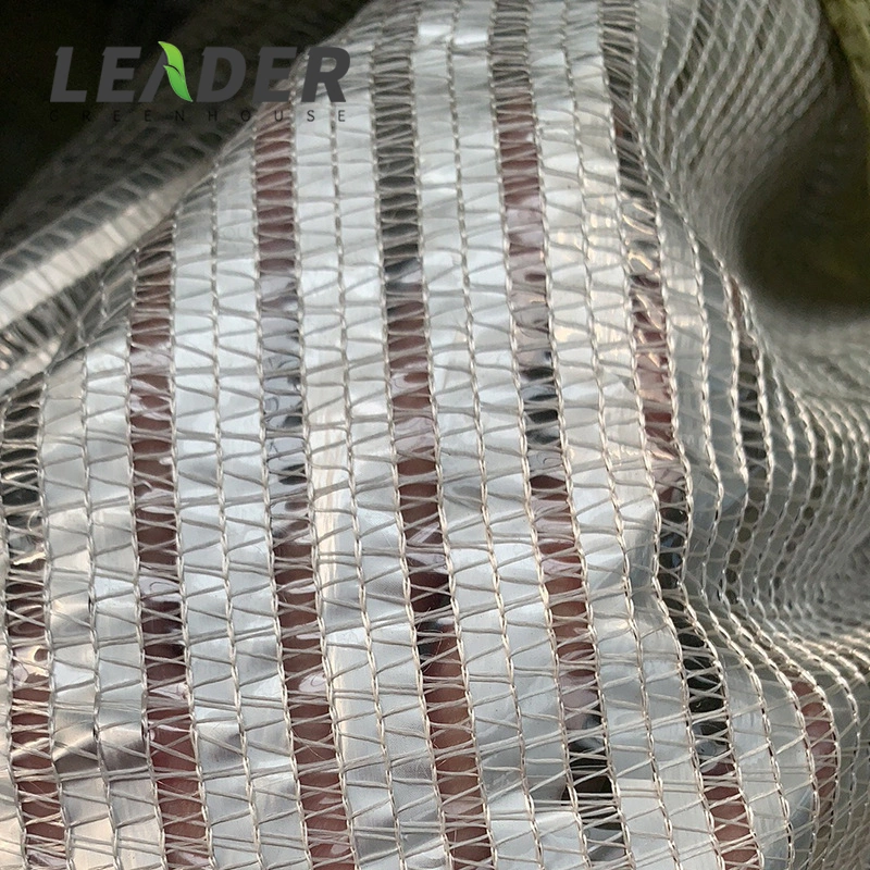 6X100m 50% Shading Silver Aluminum Foil Shade Net