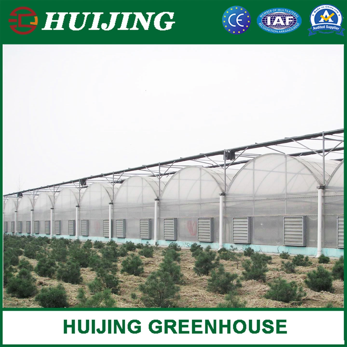 Customized Poly Tunnel Turn-Key Film Greenhouse for Strawberry/Cherry/Fruit Trees/Seedbreeding for Sale