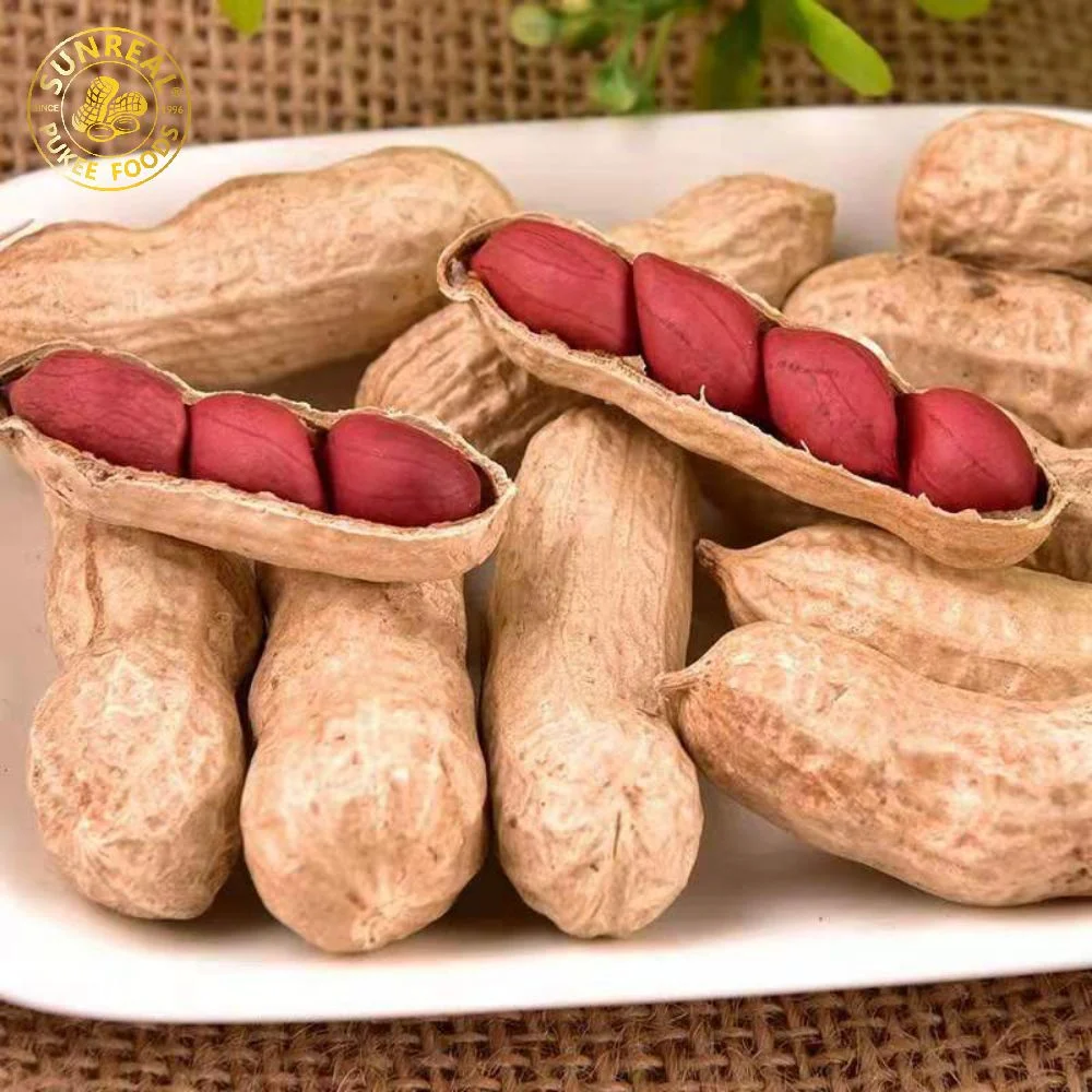 Peyted Peanut in Shell/Red Skin Peanut in Shell/Premium Quality من الصين