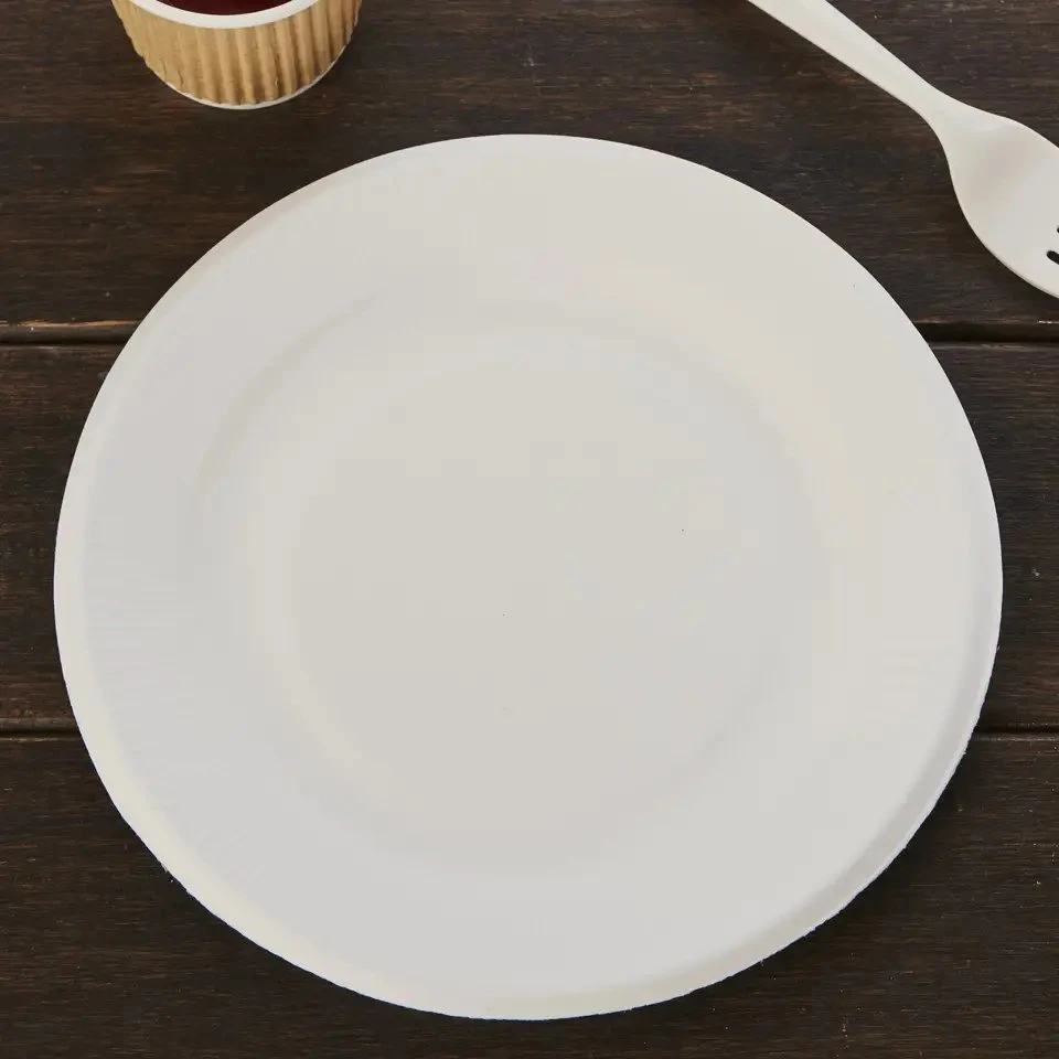 La bagasse de canne à sucre de grade alimentaire biodégradable plaques jetables de canne à sucre pâte à papier de bambou bio dégradables pour partie compostable plat