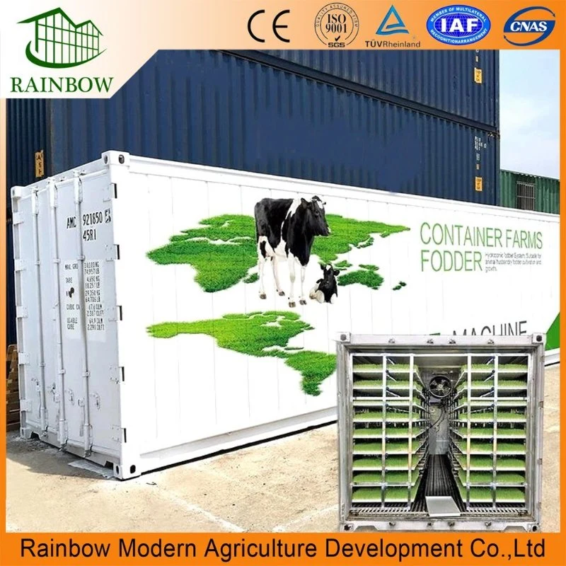 Vertical Hydroponic Container Greenhouse for Vegetables Hydroponic Fodder System