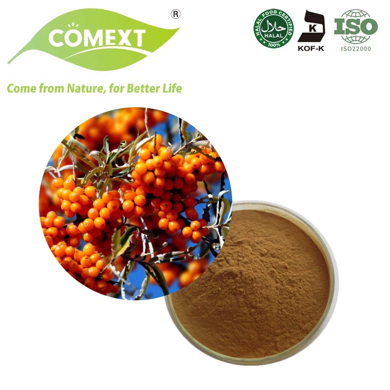 Comext Best Price Pure Organic 10% Flavone Powder Seabuckthorn Fruit Seabuckthorn Extract