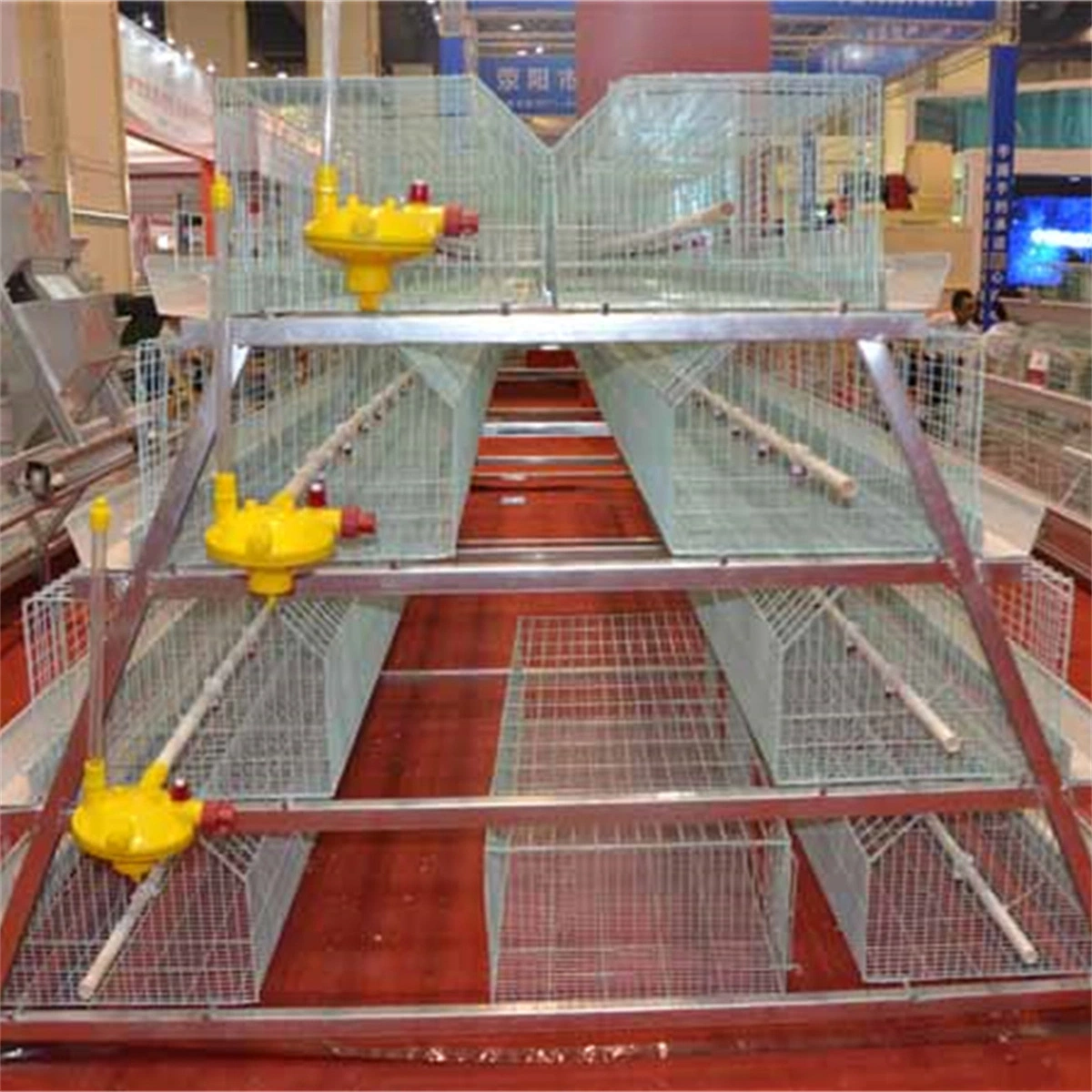 Poultry Farming Equipment Chicken Layer Cage System