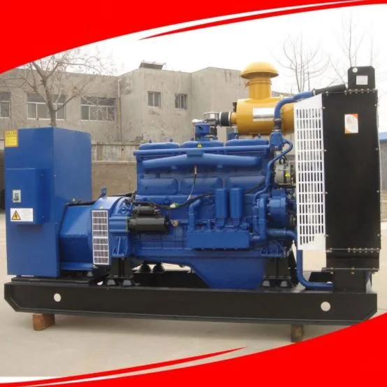 600kVA/660kw Gas Generator Pig Farm Manure Landfill Gas Biogas Farm Backup Power Generator