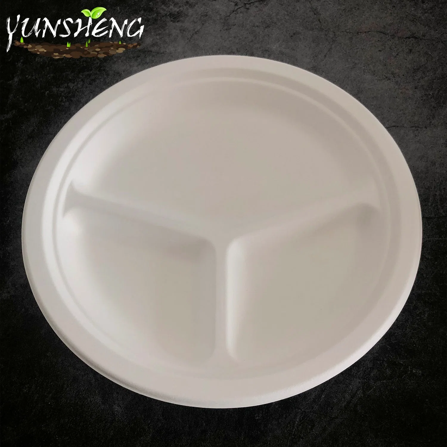 Microwavable Disposable Sugarcane/Wheat Straw/Bamboo Pulp/Firber 100% Compostable Tableware