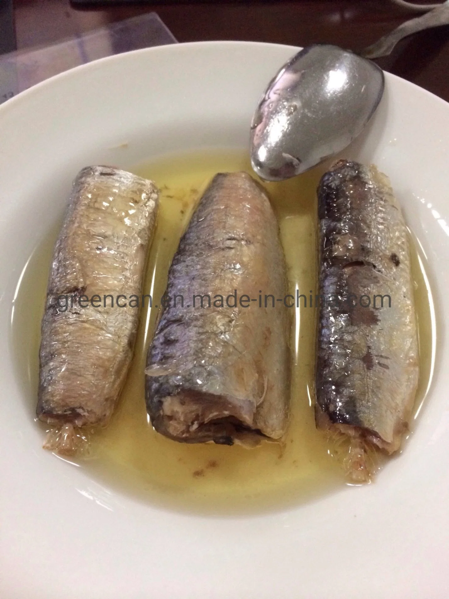 Fresh Fish Canned Sardine in Oil with Best Price