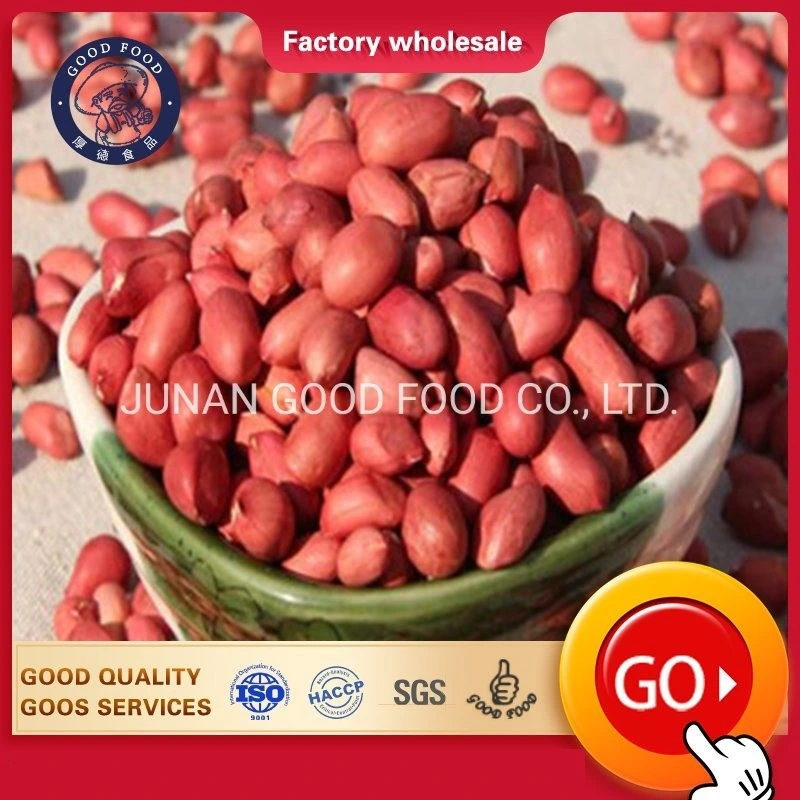 Ex-Factory Price Bulk Raw Organic Factory Price Red Skin Kernels Peanut