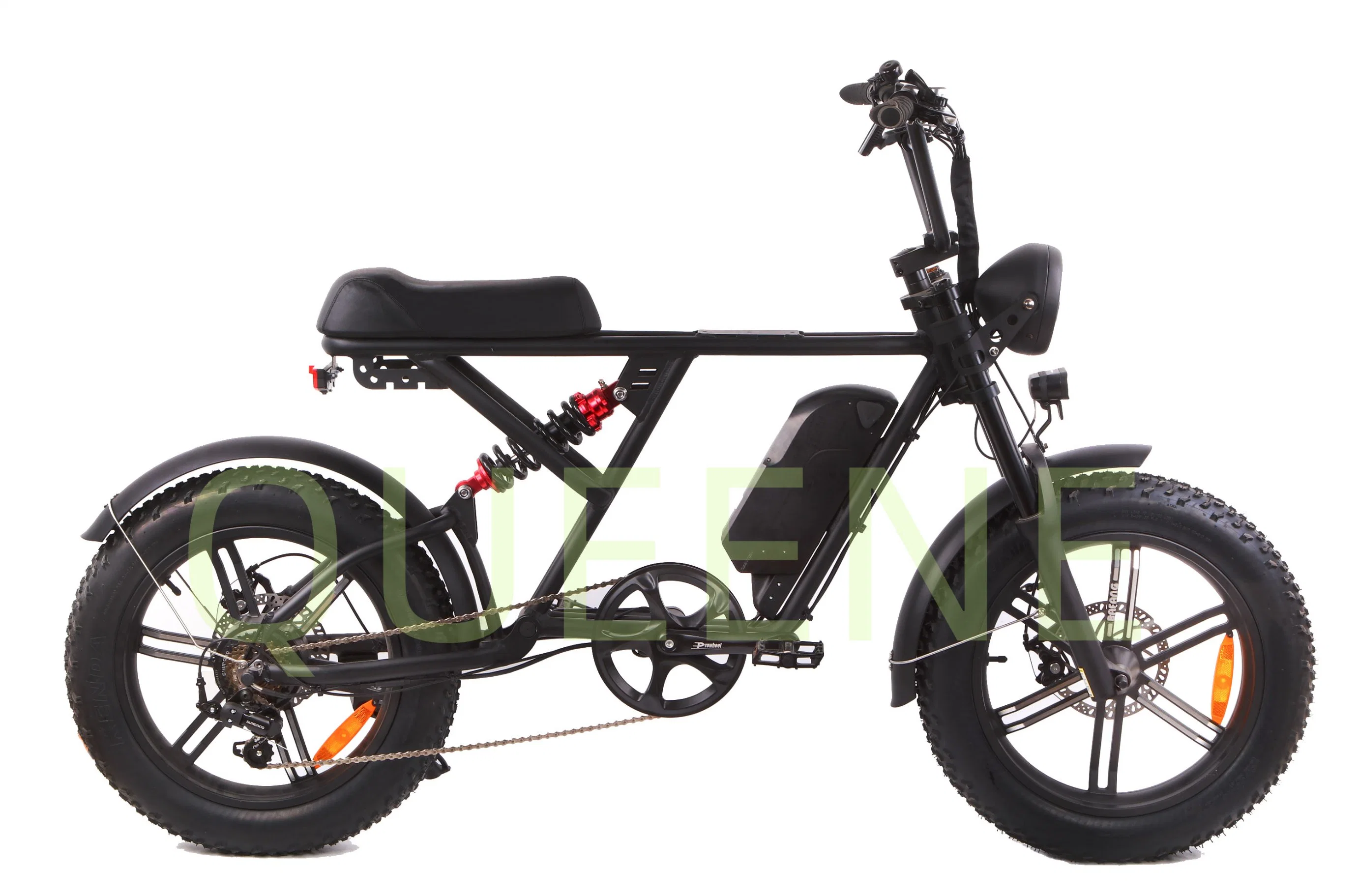 48V 500W 750W 1000W Power China Cheap Full Suspension Retro Vintage Ebike Dirt Mountain Fat Tire Bicycle Electric Bike