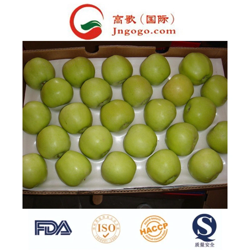 New Crop Exporting Standerd Golden Apple