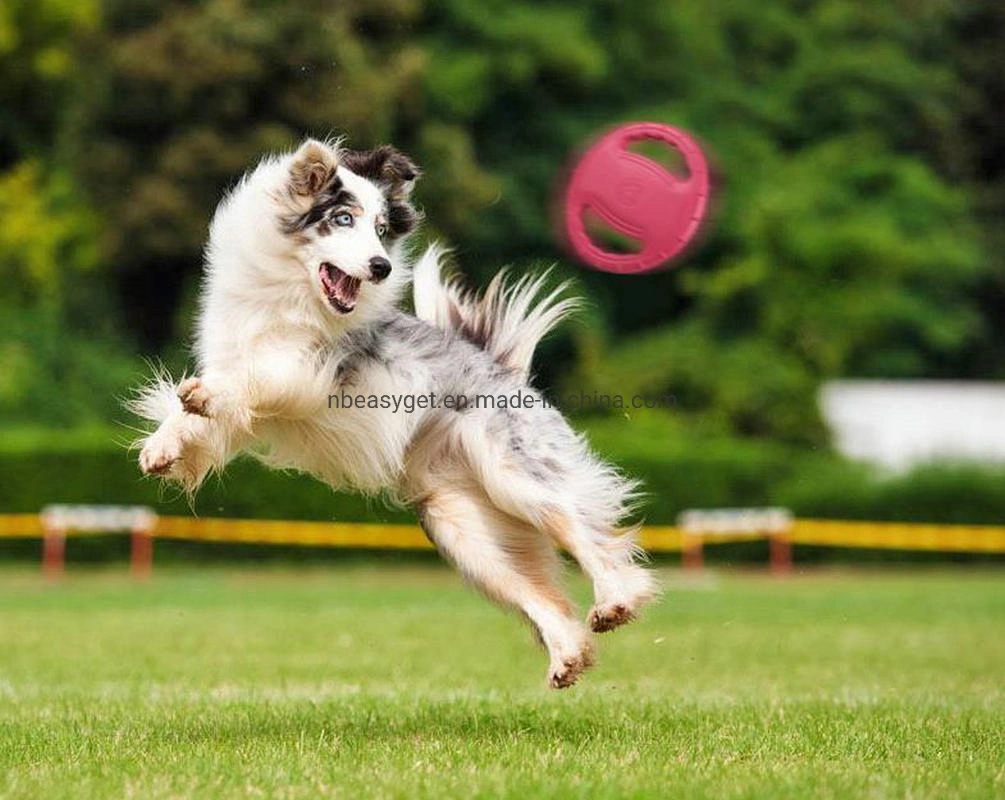 Dog Flying Disc Toy, Borracha Dog Toy resistente a mordidas Piscina Interactive arvorando o treinamento do disco Fetch Sound Maker Brinquedo Pet flutua na água Chew Toy12654 ESG