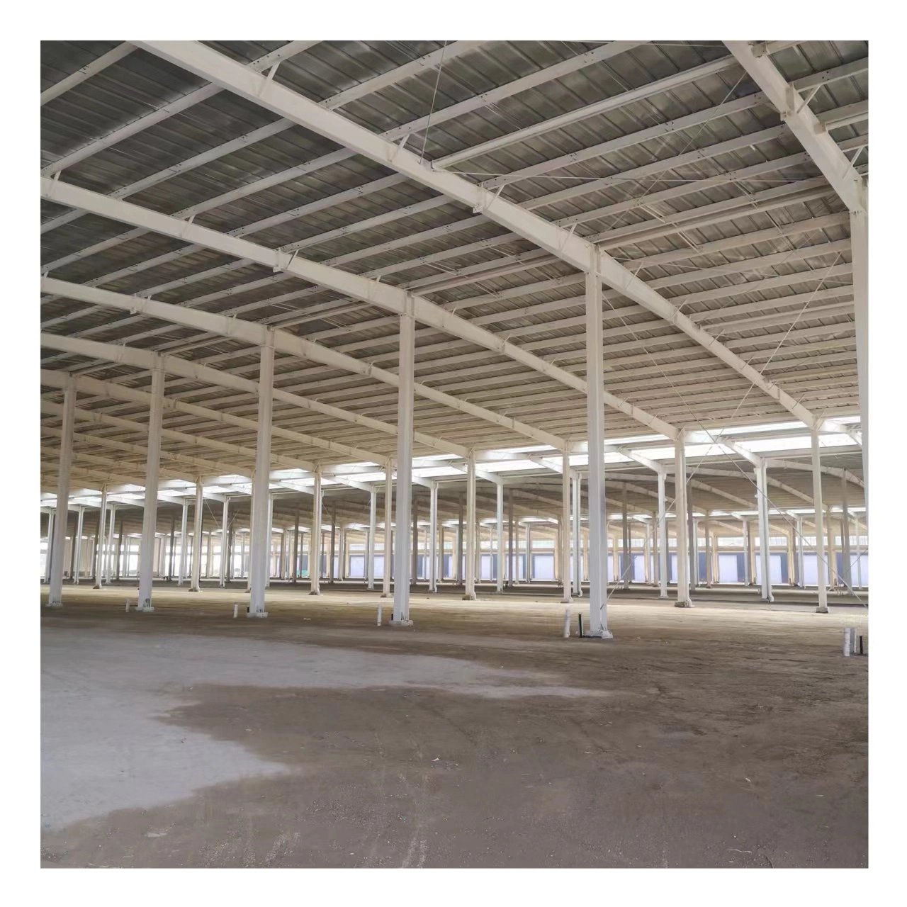 Professional Economical CE Prefabricated/Prefab Galvanized H Beam Design Building Metal Q345/Q235 Large Span Steel Structure for Factory Warehouse Workshop