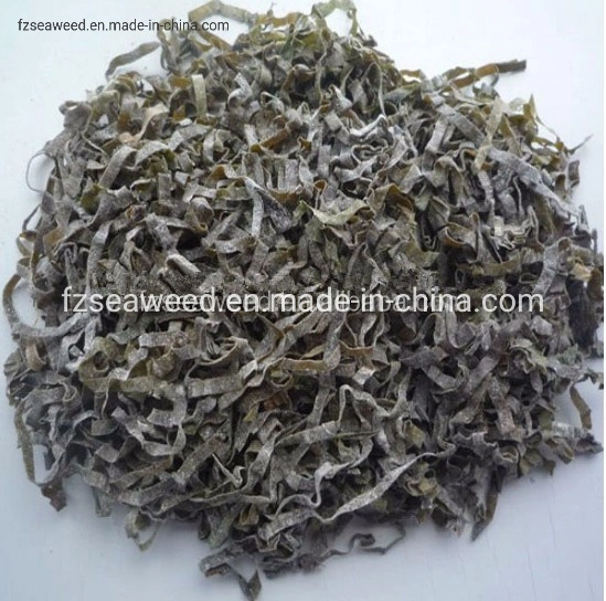 Natural Seaweed Contains Iodine, Sea Algae Cut Sun Laminaria Japonica