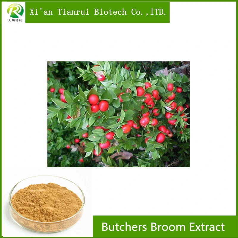 Factory Supply High Quality Butchers Broom Extract with Ruscogenin 10%