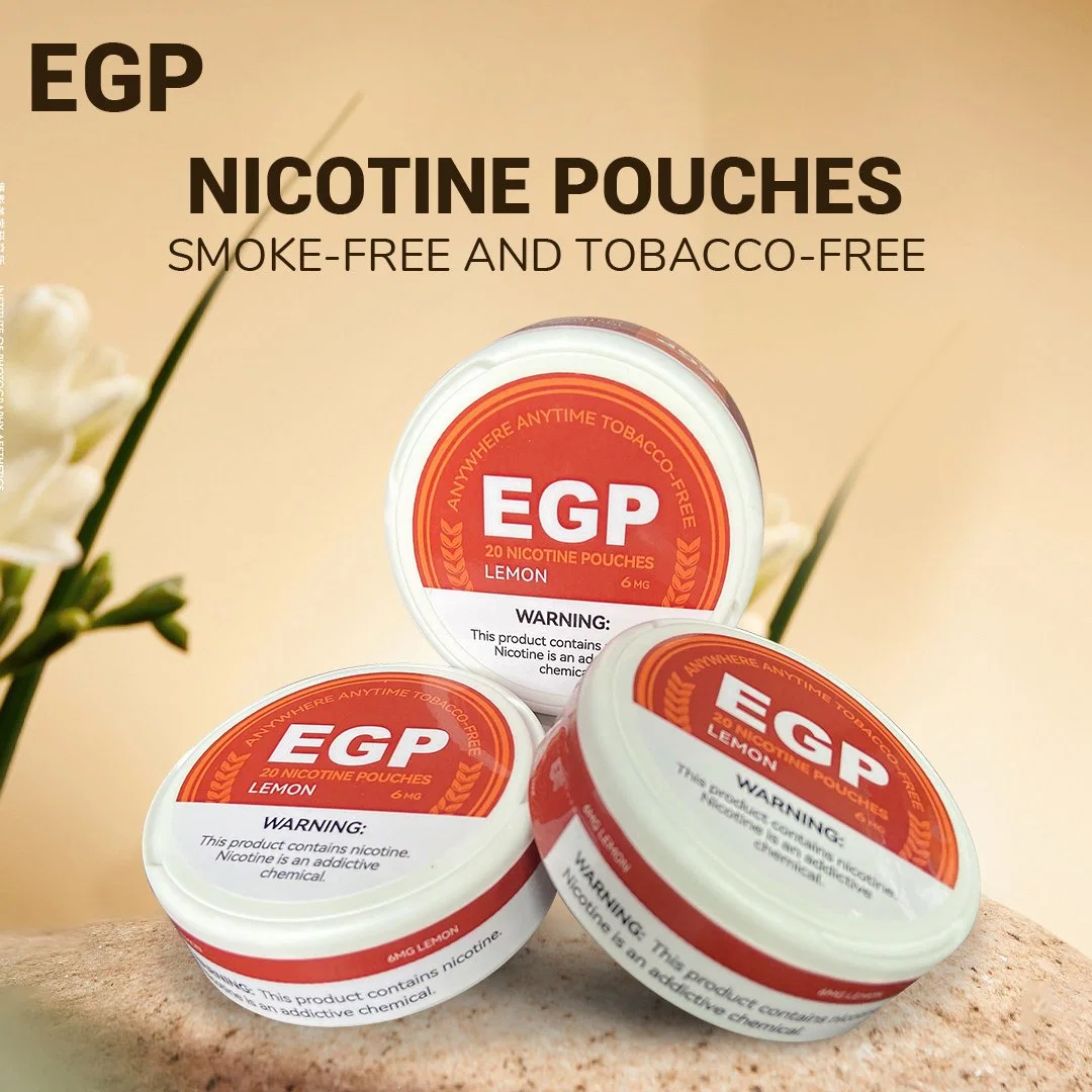 Russian Welcome Snus Nicotine Pouches OEM Brand Mint Energy Tobacco Free Nicotine Pouches