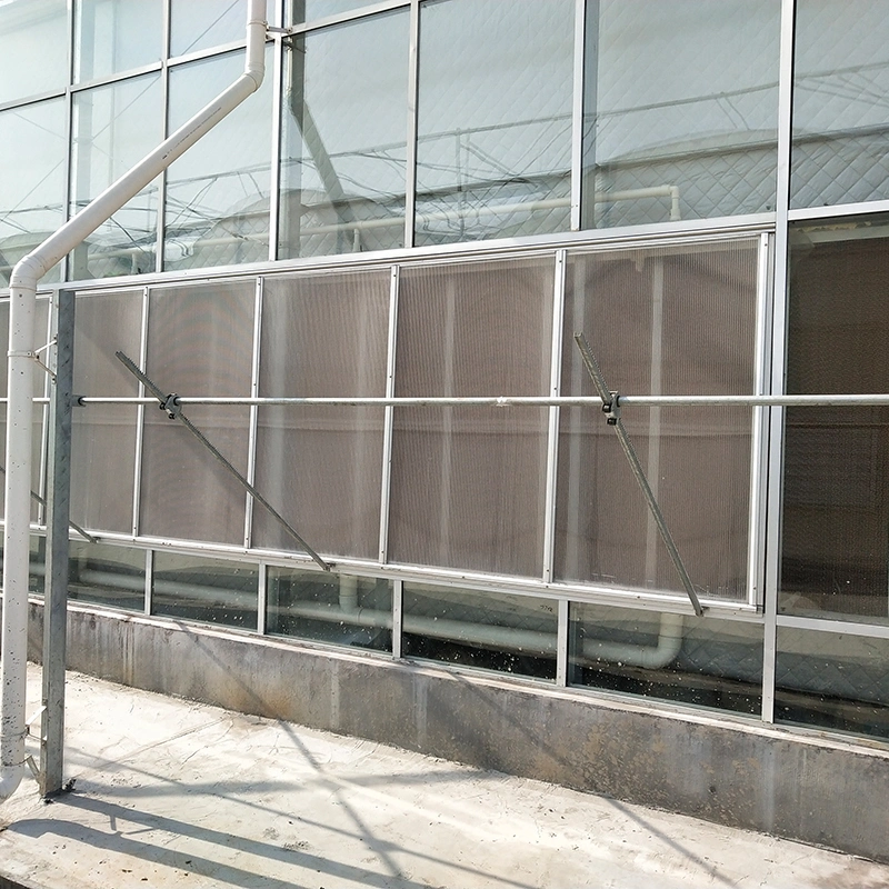 Customized Glass Structure Greenhouse From Chinese Suppliers