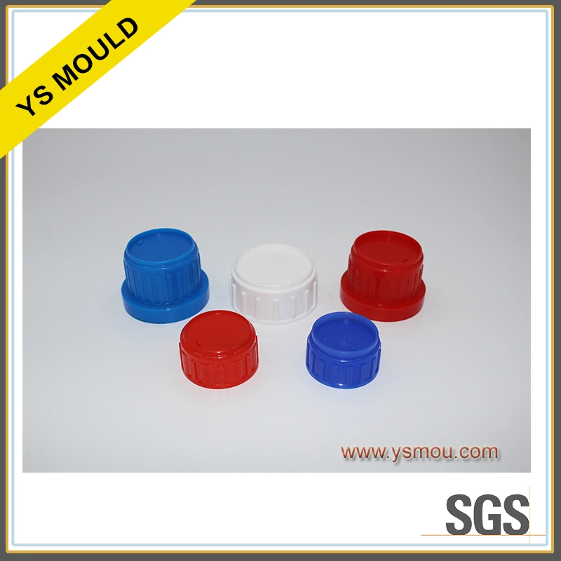 Custom Plastic Injection Mould Shampoo Bottle Cap Mold Spray Caps Mould Sports Cap