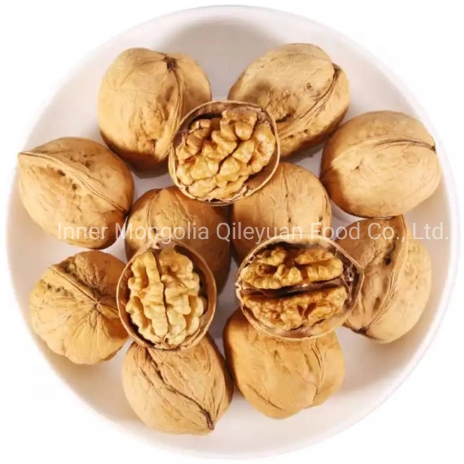 Chinese Walnut Price with Thin Paper Shell Big Size 30+/32+/34+