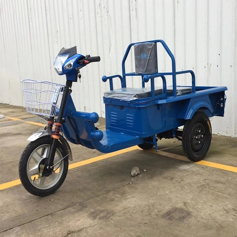 1000W Gear Motor Three-Wheeled Electric Motorcycle with Big Trunk