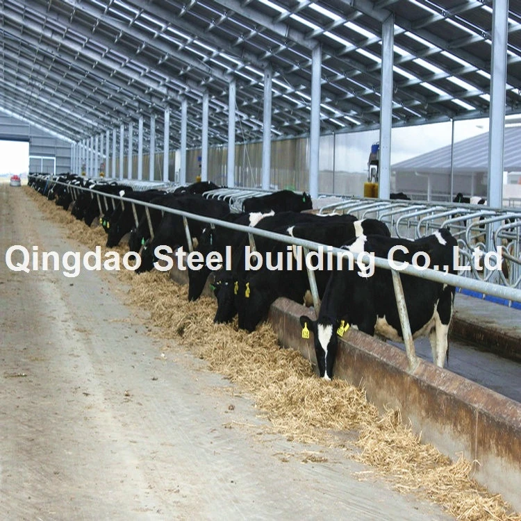 Prefabricated Farm Poultry Steel Structure Housing Is Cheap Chicken Coop/Doghouse/Cow Shed/Horse Farm