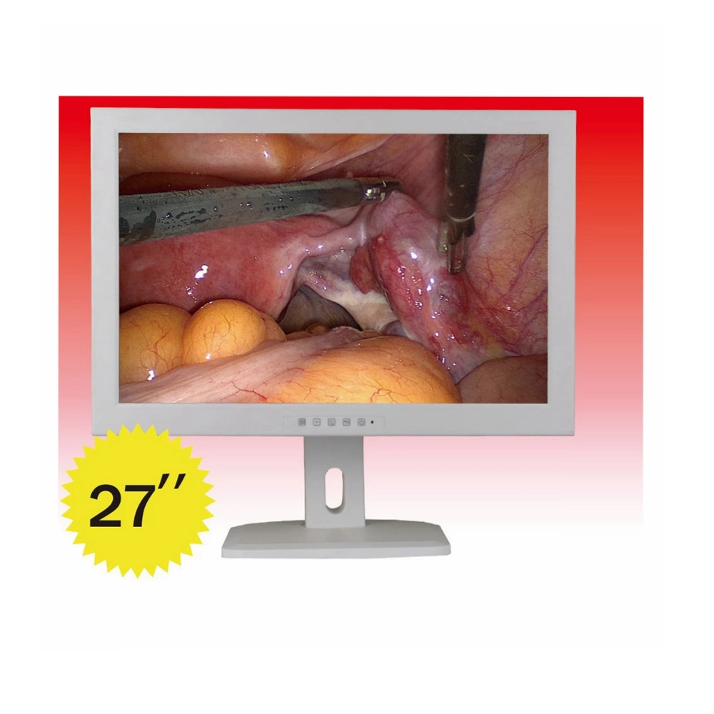 15 Inch Medical Monitor for Endoscopy Ent Hysteroscopy Arthroscopy Urology Surgery Monitor