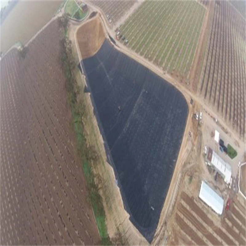 Smooth Textured Black Inno Paper Roll +Woven Geotextile Fish Pond HDPE Geomembrane Liner