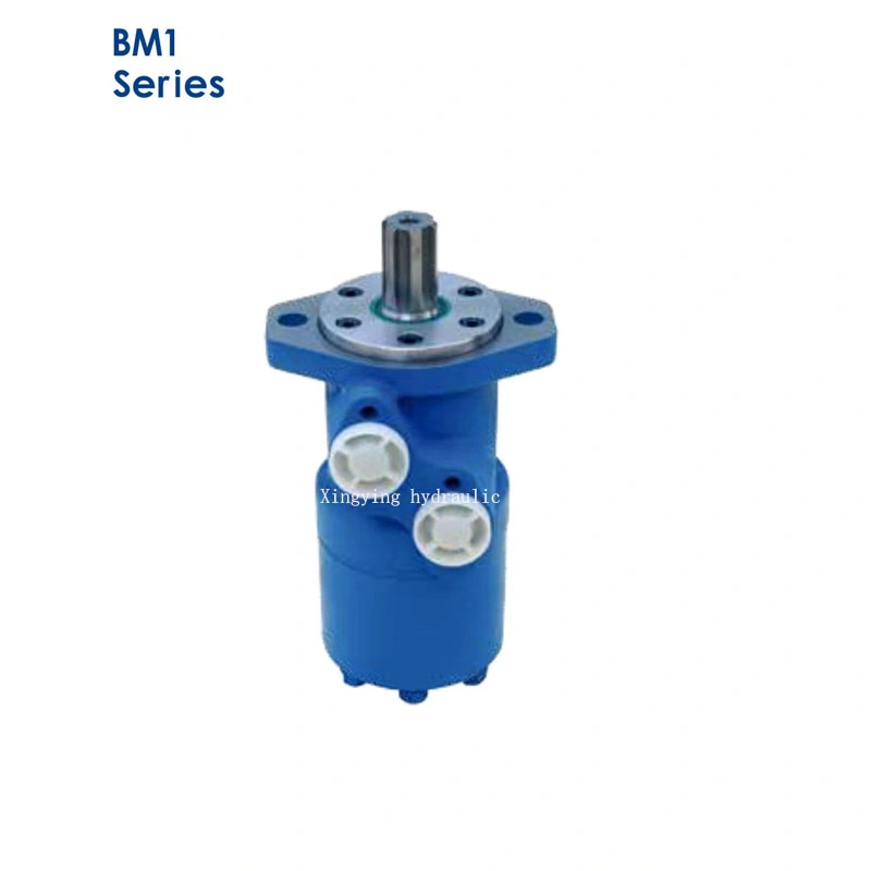 Bm2-50 Bm2-63 Bm2-80 Bm2-100 Bm2-125 Bm2-160 Bm2-200 Bm2-250 Bm2-315 Bm2-400 Bm2-500 Low Speed High Torque Orbital Hydraulic Motor