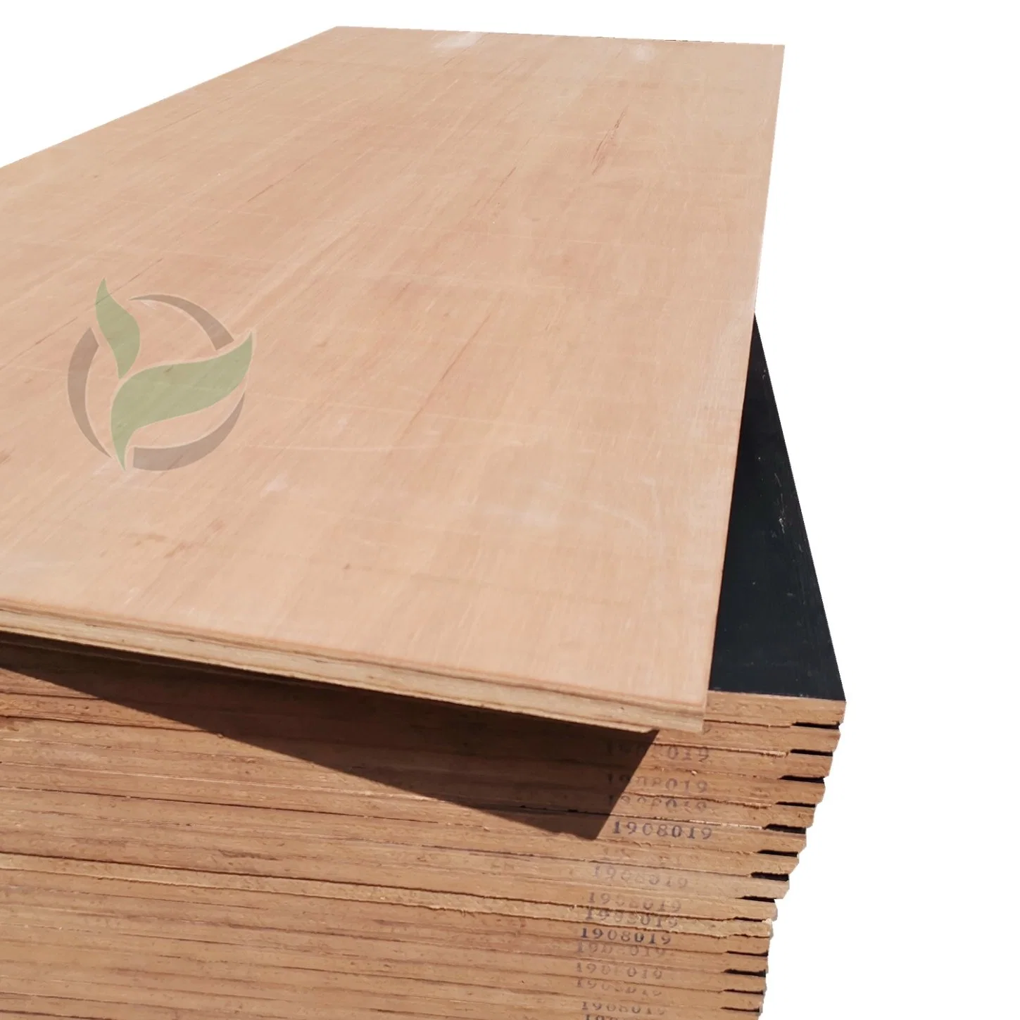 WBP Glue Keruing Plywood High Density Container Floorboards