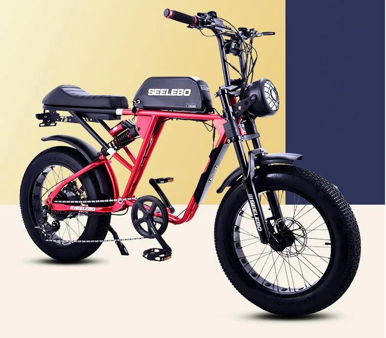 Bicicleta eléctrica reemplazo de plano Retro Electric Snowmobile hombres y mujeres 48V bicicletas de montaña Power