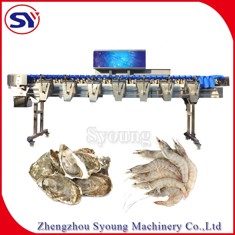 Multi-Level Seafood Sea Cucumber Weight Size Grading Classify Machine for Aquatic Industry