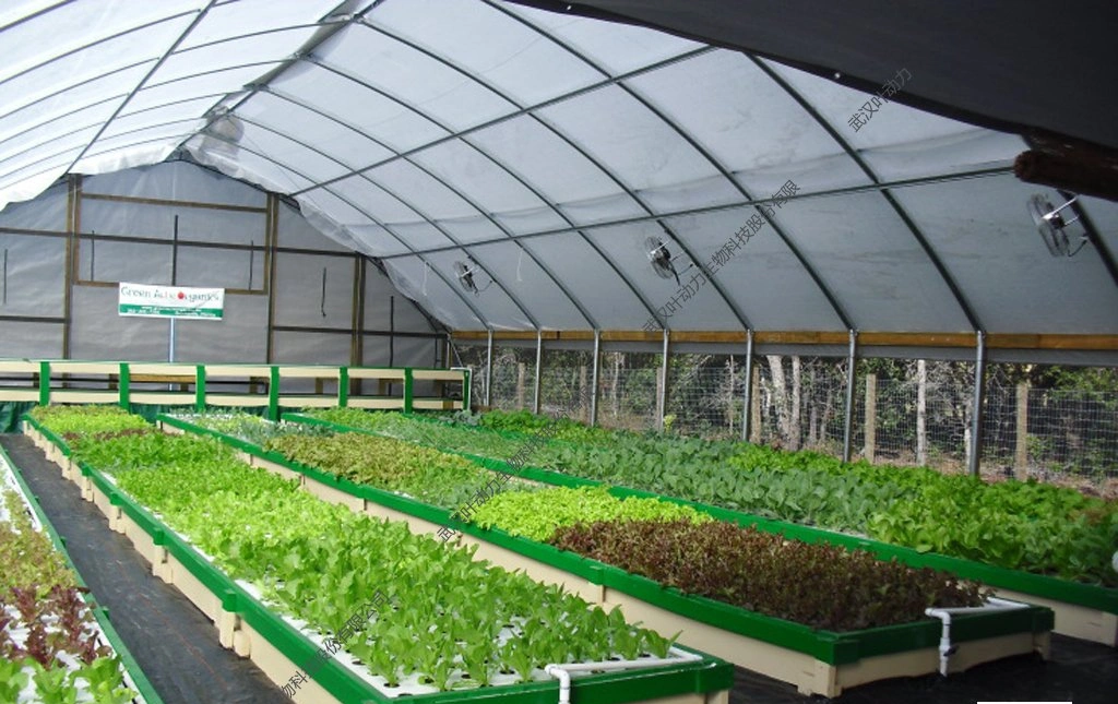 Building Materials Commercial Tunnel Pointed Shape Type Greenhouse with Internal and External Shading System for Aquaponics