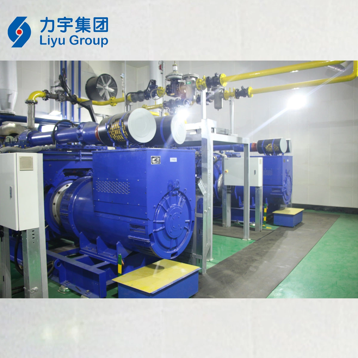 Liyu 800kw/0.8MW 12V Cylinder Low Emission High Voltage 10.5kv Biomass Gas Engine Genset Made in China