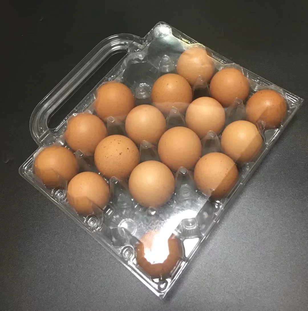 Huevo de plástico caja de embalaje de la bandeja de huevos huevo pollo envasado Punnets 20 celdas con asa