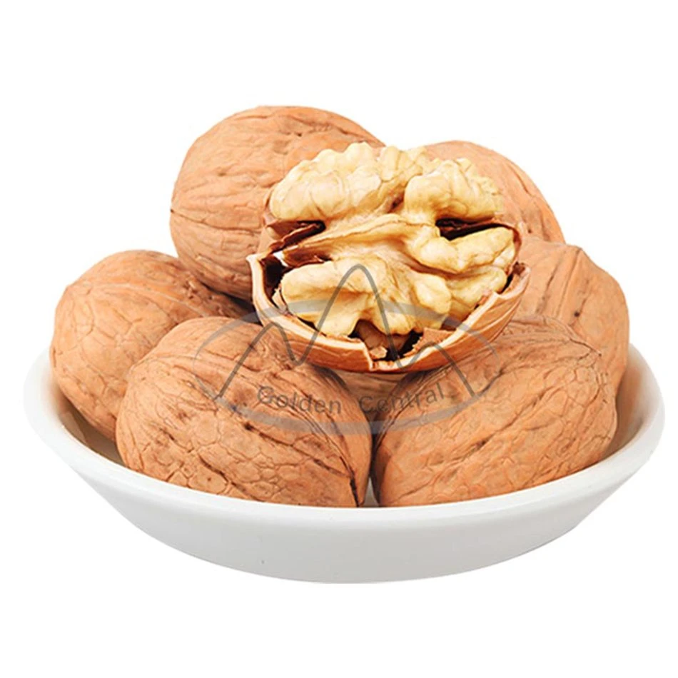 Comercio al por mayor valor nutritivo delicioso nueces de nogal Raw original a bajo precio