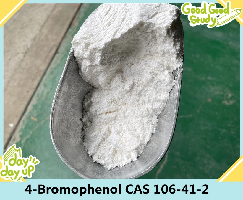 China Sell Organic Intermediate Chemicals Bromophenol / 4-Bromophenol CAS 106-41-2