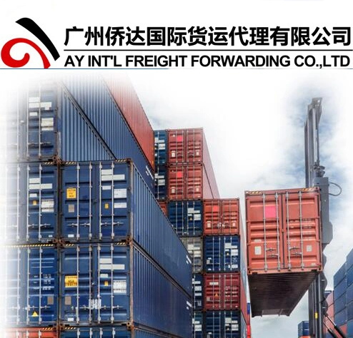 China Forwarder From Guangzhou/Shenzhen/Ningbo/Shanghai to Kuf Samara