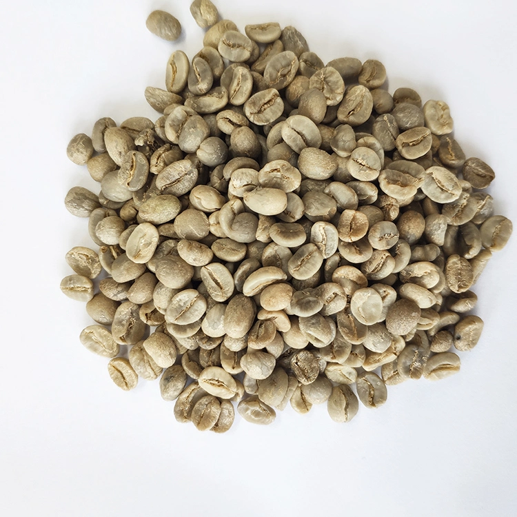 Chinesische Grade A Kaffeebohnen mit Großhandel/Lieferant Arabica Green Coffee Bohnen