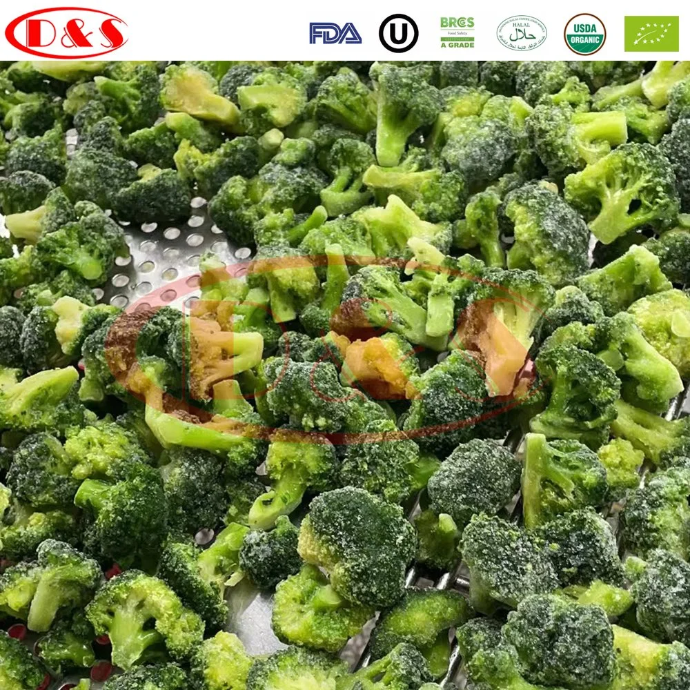 New Crop vegetais frescos congelados Broccoli congelados