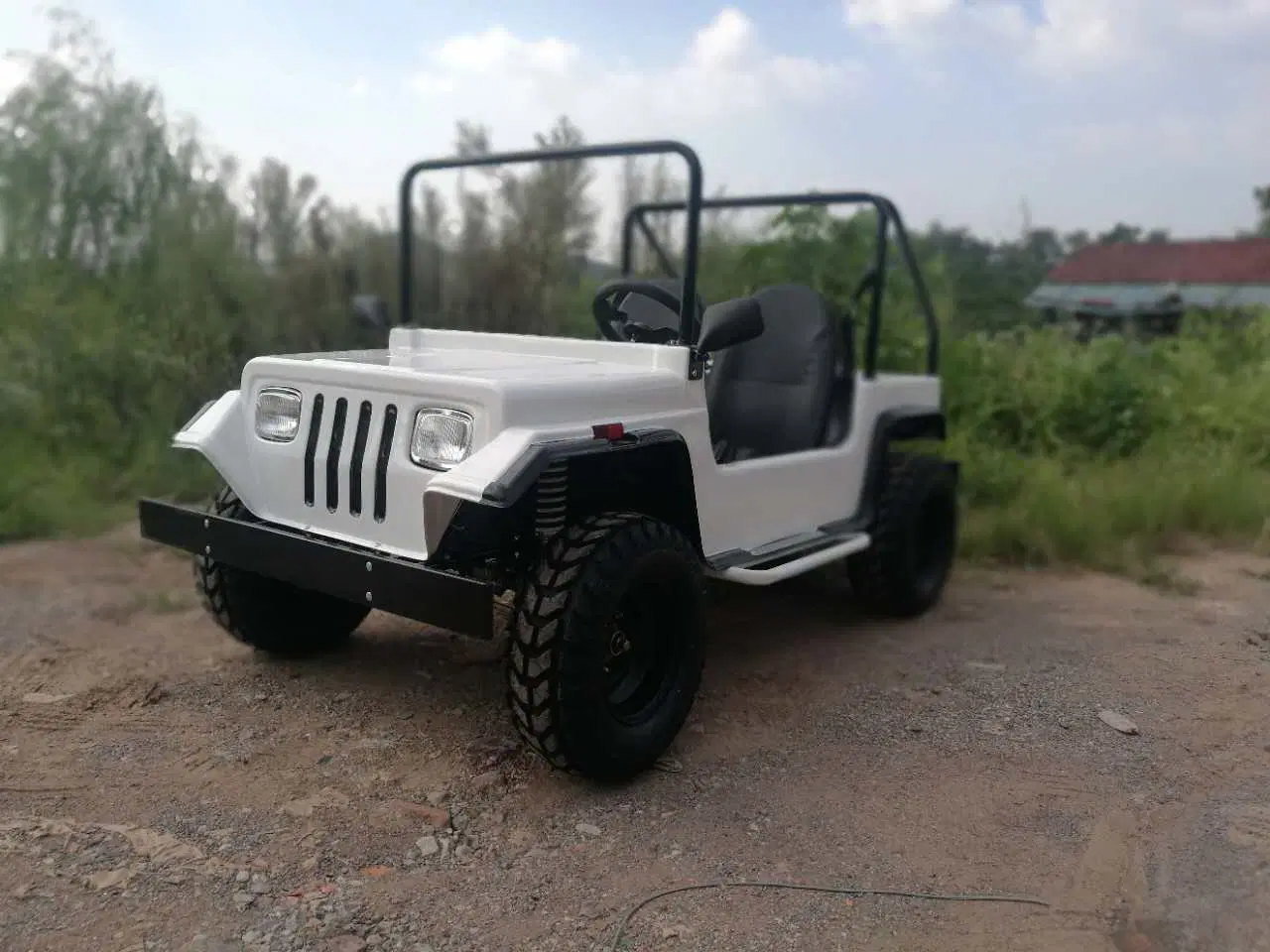 Big Power Mini Buggy Quad Bike 200cc Willys Jeeps for Sale