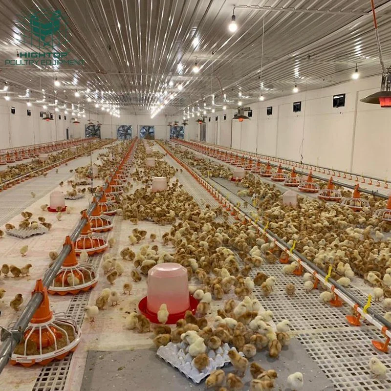 Vieh Geflügel Farm Huhn Haus Coop Automatische Pfanne Fütterung Und Trink-System Für Broiler Layer