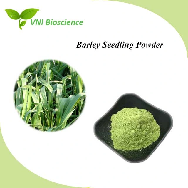 Organic Certified 100% Natural Juice Powder Organic Barley Grass Powder for Enhancing Immunity