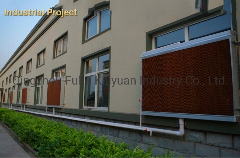 Agricultural Evaporative Cooling Air Cooling System in Greenhouse/Poultry Equipment