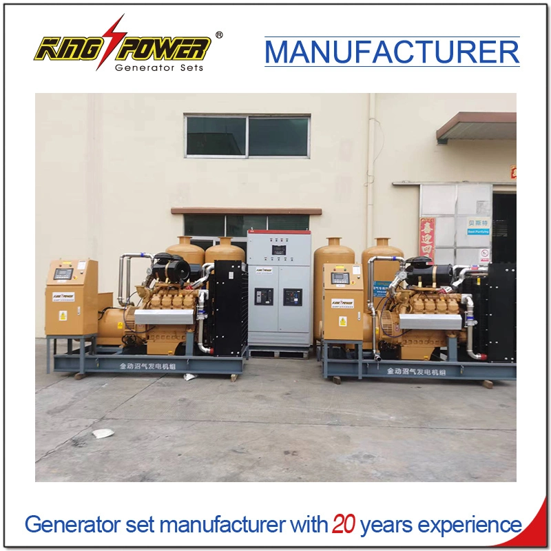 Professional Supplier of 7*24 Hours 250kw Open Silent Natural Gas Biogas CNG LNG LPG Generator