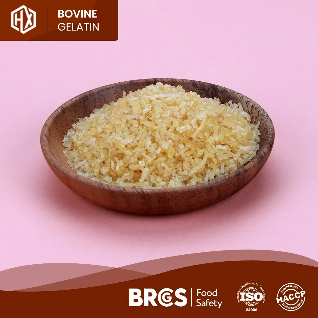 Haoxiang Yellow Granular Essbare Bovine Haut Gelatine Probe Verfügbar Bovine Skin Gelatin China Factory OEM maßgeschneiderte Großhandel Lebensmittel Grade Bovine Hautgelatin