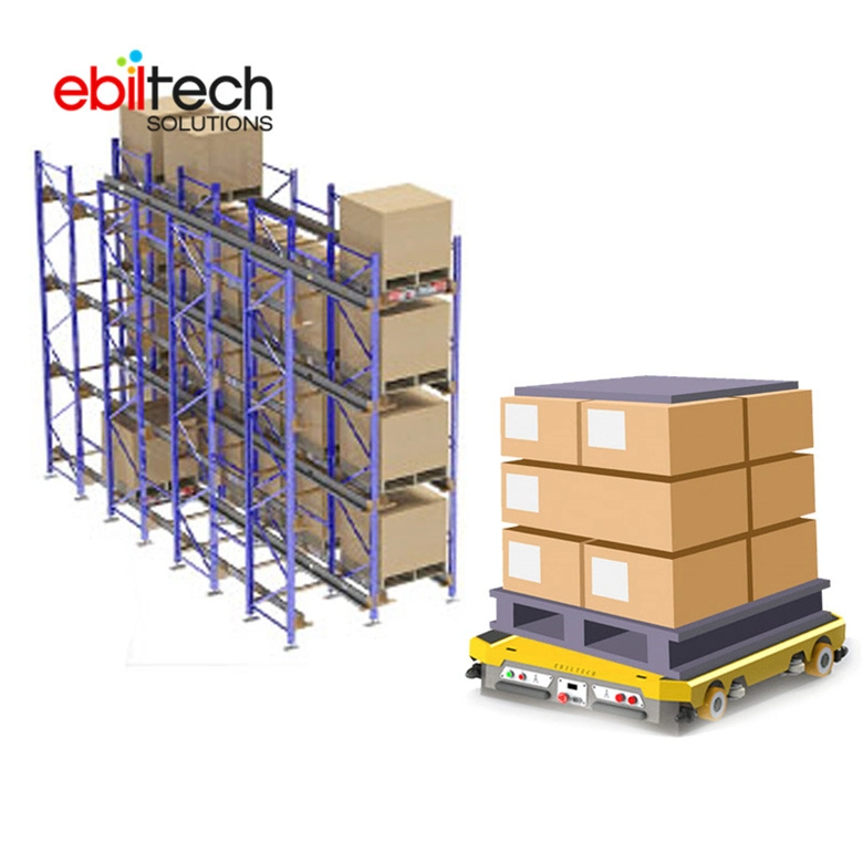 Storage Rack System for Fifo/Filo Radio Shuttle Racking Warehouse