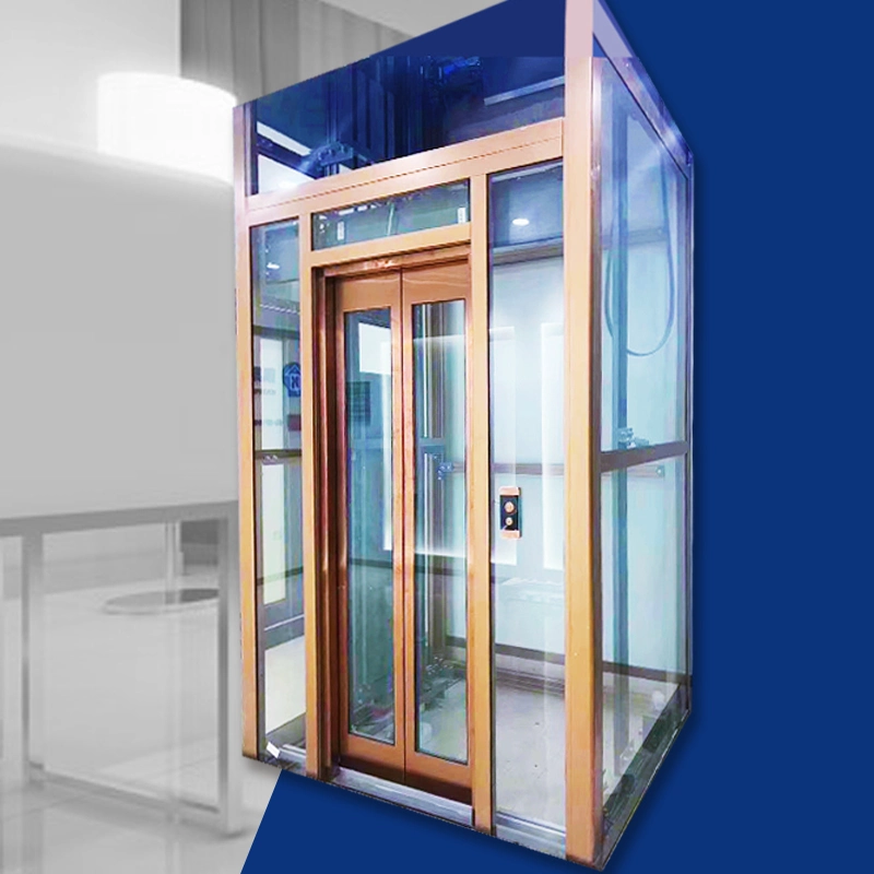 800kg Gearless Traction Home Passenger Elevator Lift with Small Machine Room